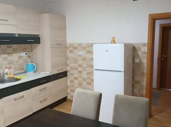 招待所 2bdr With Balcony With View- Free Parking 塞拉耶佛